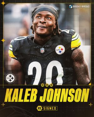Image post by @steelers on Instagram
