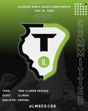 Image post by @worldserieschampionship on Instagram