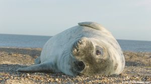 Image post by @rspb on Instagram