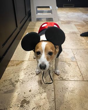 Image post by @simonpagenaud on Instagram