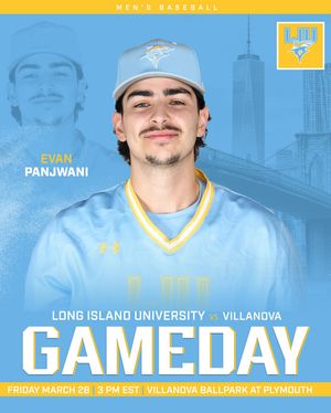 Image post by @liubaseball on Instagram