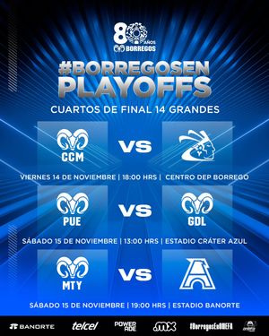 Image post by @borregostec on Instagram