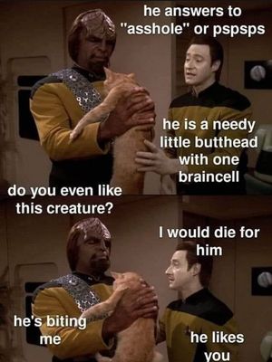 Image post by @one_true_nerdking on Instagram