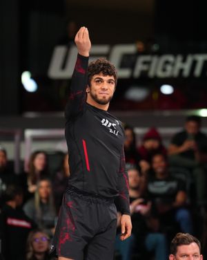 Image post by @ufcbjj on Instagram