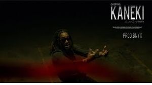 Video post by @cochise on YouTube