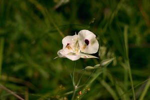 Image post by @photogaud on Instagram