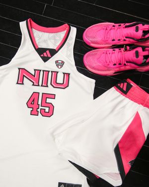 Image post by @gohuskieswbb on Instagram