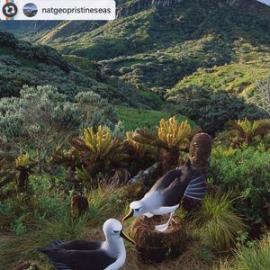 Image post by @rspb on Instagram