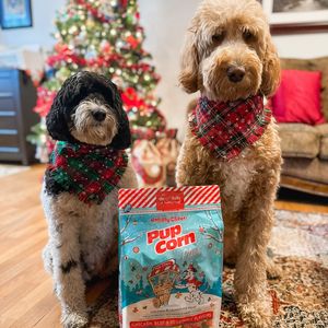 Image post by @pupcorntreats on Instagram