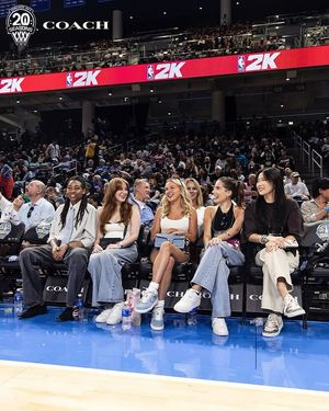 Image post by @chicagosky on Instagram