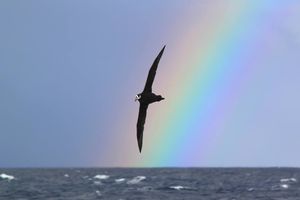 Image post by @rspb on Instagram