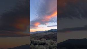 Video post by @allisonhollandmedia on YouTube