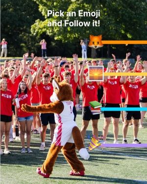 Video post by @marist on TikTok
