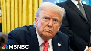Video post by @msnbc on YouTube
