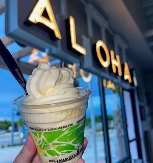 Image post by @hawaiianbros on Instagram