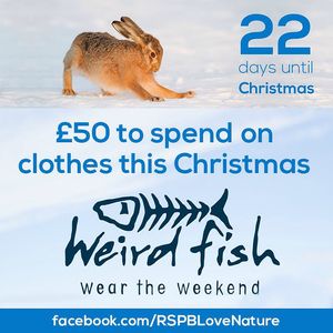 Image post by @rspb on Instagram