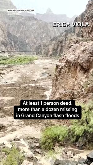 Video post by @nbcwashington on Instagram