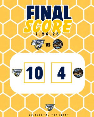 Image post by @burlington_bees on Instagram
