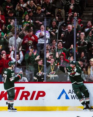 Image post by @minnesotawild on Instagram