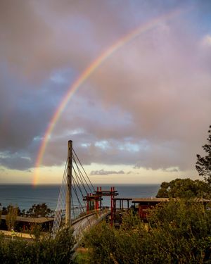 Image post by @ucsdadmissions on Instagram