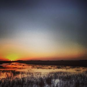 Image post by @ralph_trionfo on Instagram