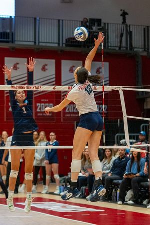 Image post by @DaytonVB on Twitter