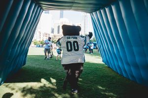 Image post by @SirPurr on Twitter