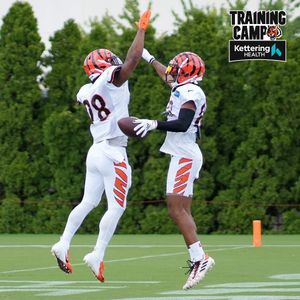 Image post by @bengals on Instagram