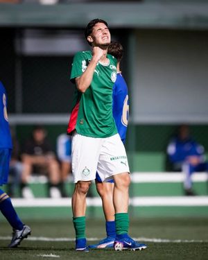 Image post by @palmeiras on Instagram