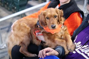 Image post by @aberdeenironbirds on Instagram