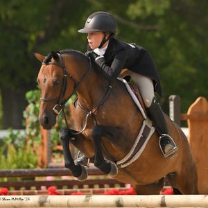 Image post by @kyhorseshows on Instagram