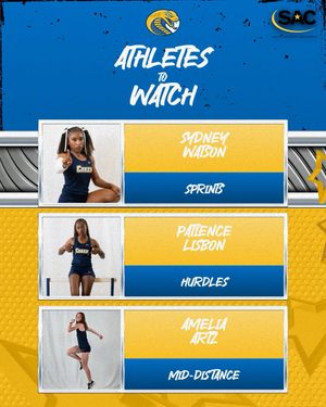 Image post by @cokercobras on Instagram