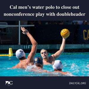 Image post by @dailycalsports on Instagram