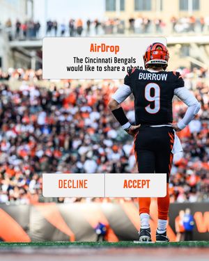 Image post by @bengals on Instagram