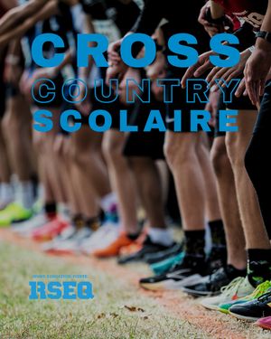 Image post by @rseq1 on Instagram