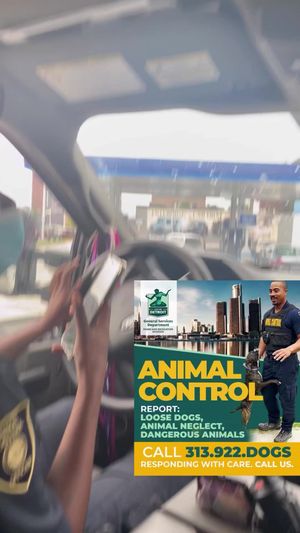 Video post by @DetroitGSD on Facebook