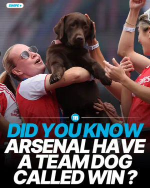 Image post by @dailymailuk on TikTok