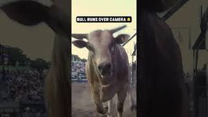Video post by @pbr on YouTube