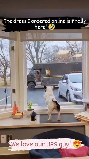 Video post by @ups on Instagram