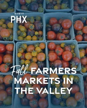 Image post by @visitphoenix on Instagram