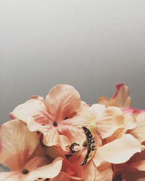 Image post by @mrkate on Instagram