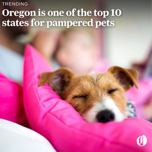 Image post by @theoregonian on Instagram