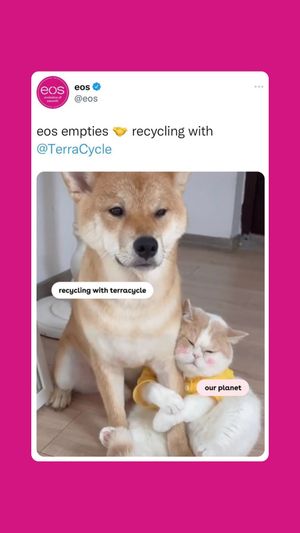 Video post by @eosproducts on Instagram