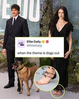 Image post by @elitedaily on Instagram