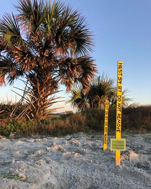 Image post by @seaisland on Instagram