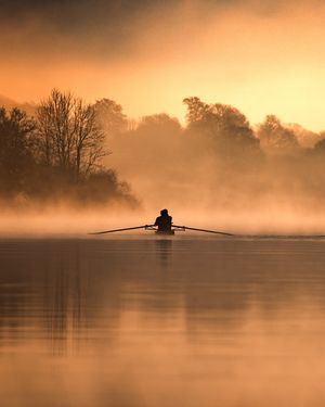 Image post by @brothercarp on Instagram