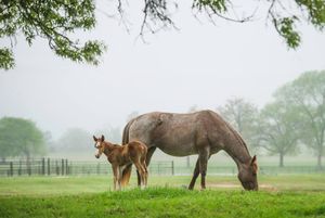 Image post by @txextension on Instagram