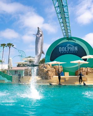 Image post by @seaworldsandiego on Instagram