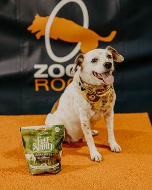 Image post by @triumphpetfood on Instagram