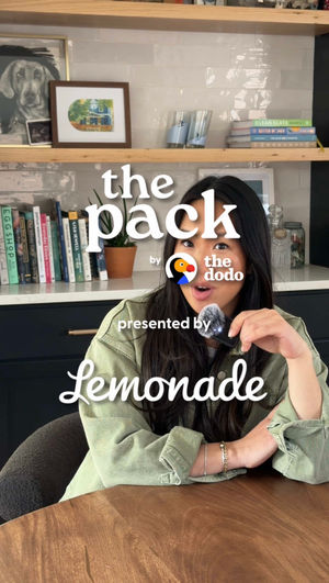 Video post by @thedodo on TikTok
